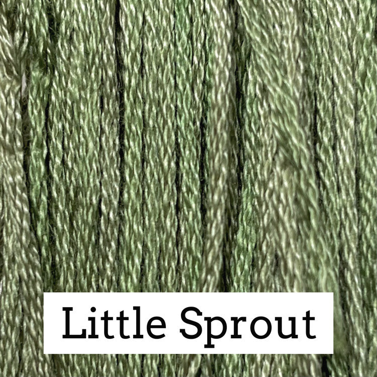 Little Sprout 259