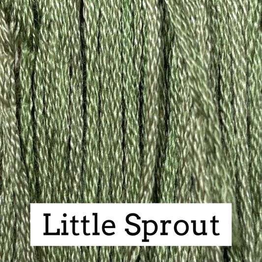 Little Sprout 259