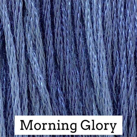 Morning Glory 206