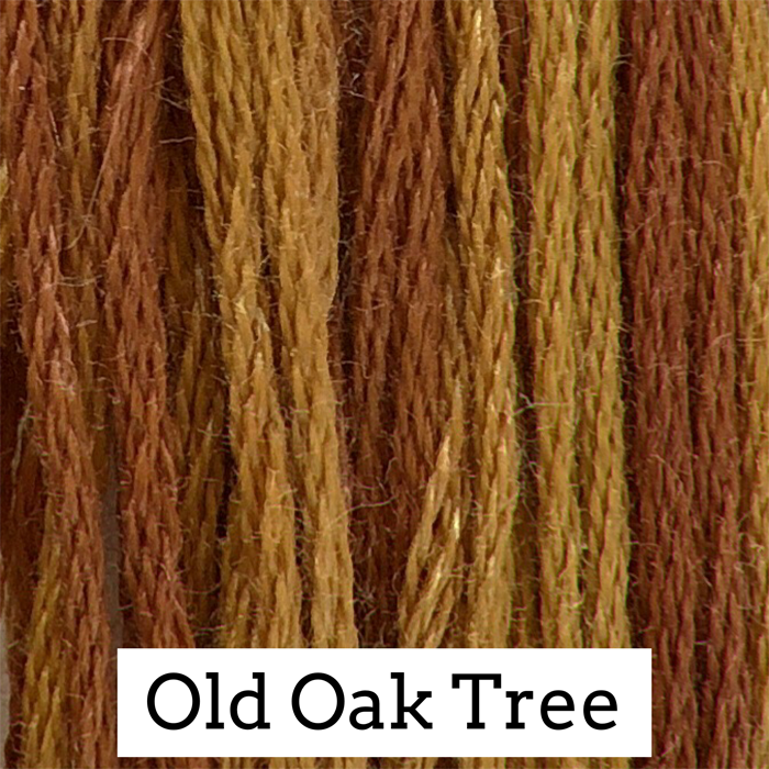 Old Oak Tree 145