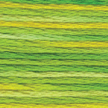 4069 Margarita - Color Variations Floss