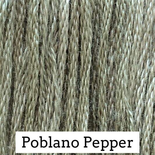 Poblano Pepper 069