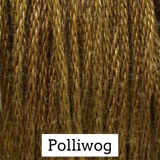Polliwog 223