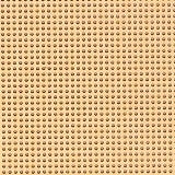 14 ct Cantaloupe Painted Perforated Paper