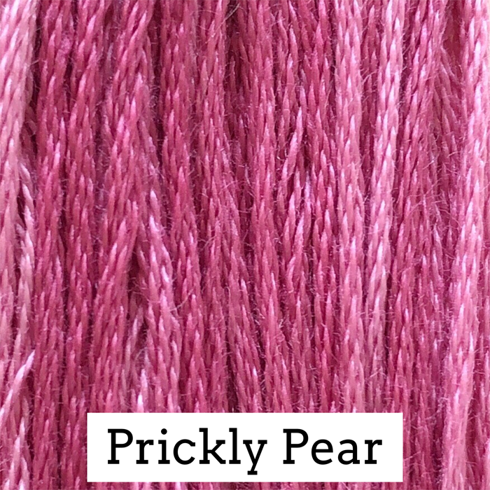 Prickly Pear 025