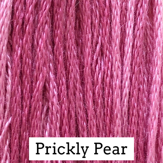 Prickly Pear 025