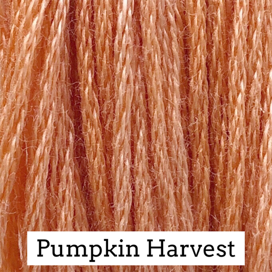 Pumpkin Harvest 057