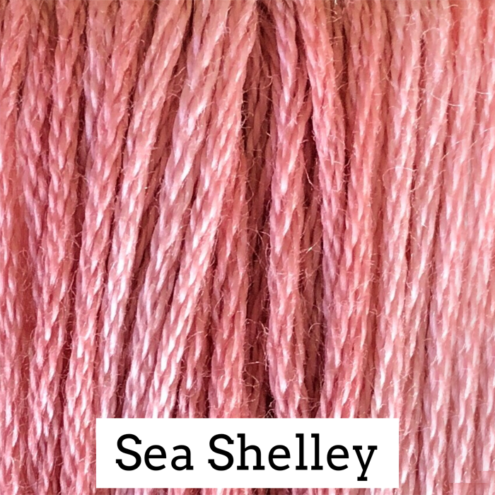 Sea Shelley 202