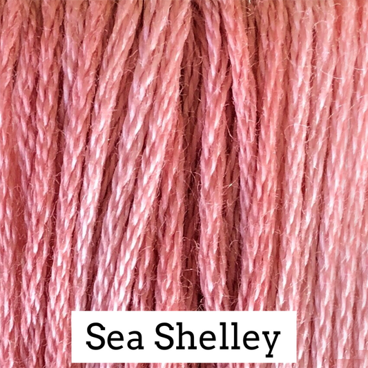 Sea Shelley 202
