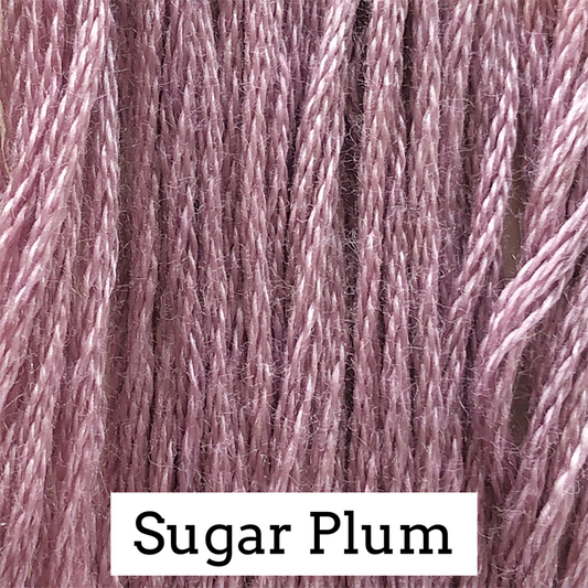 Sugar Plum 237