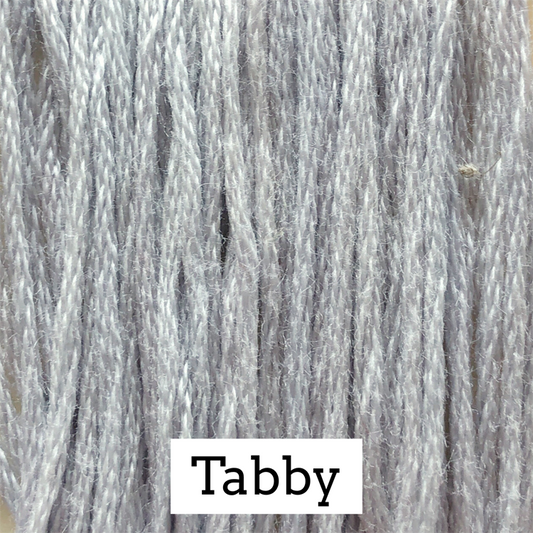 Tabby 042