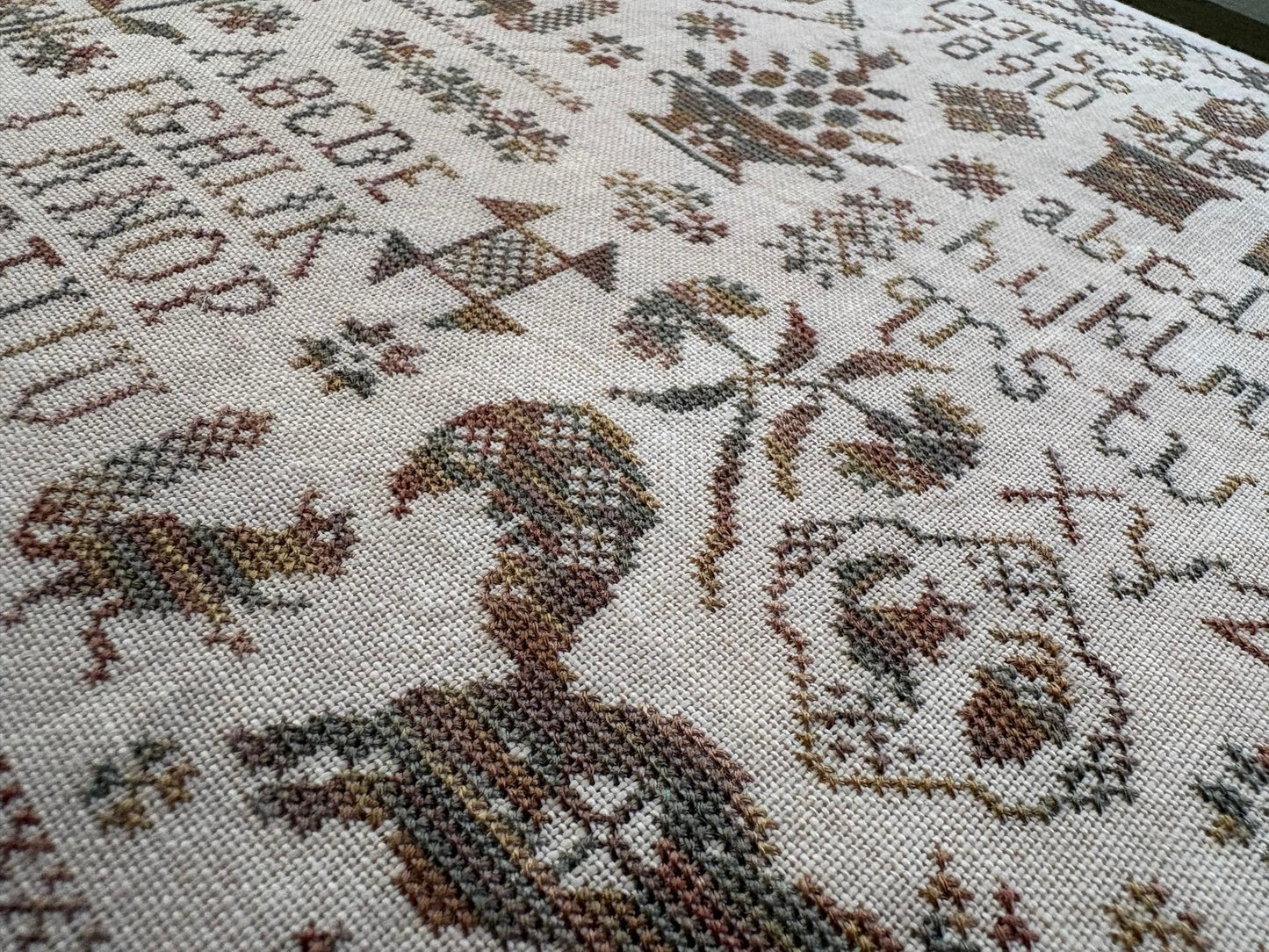 Sassy Squirrel Sampler