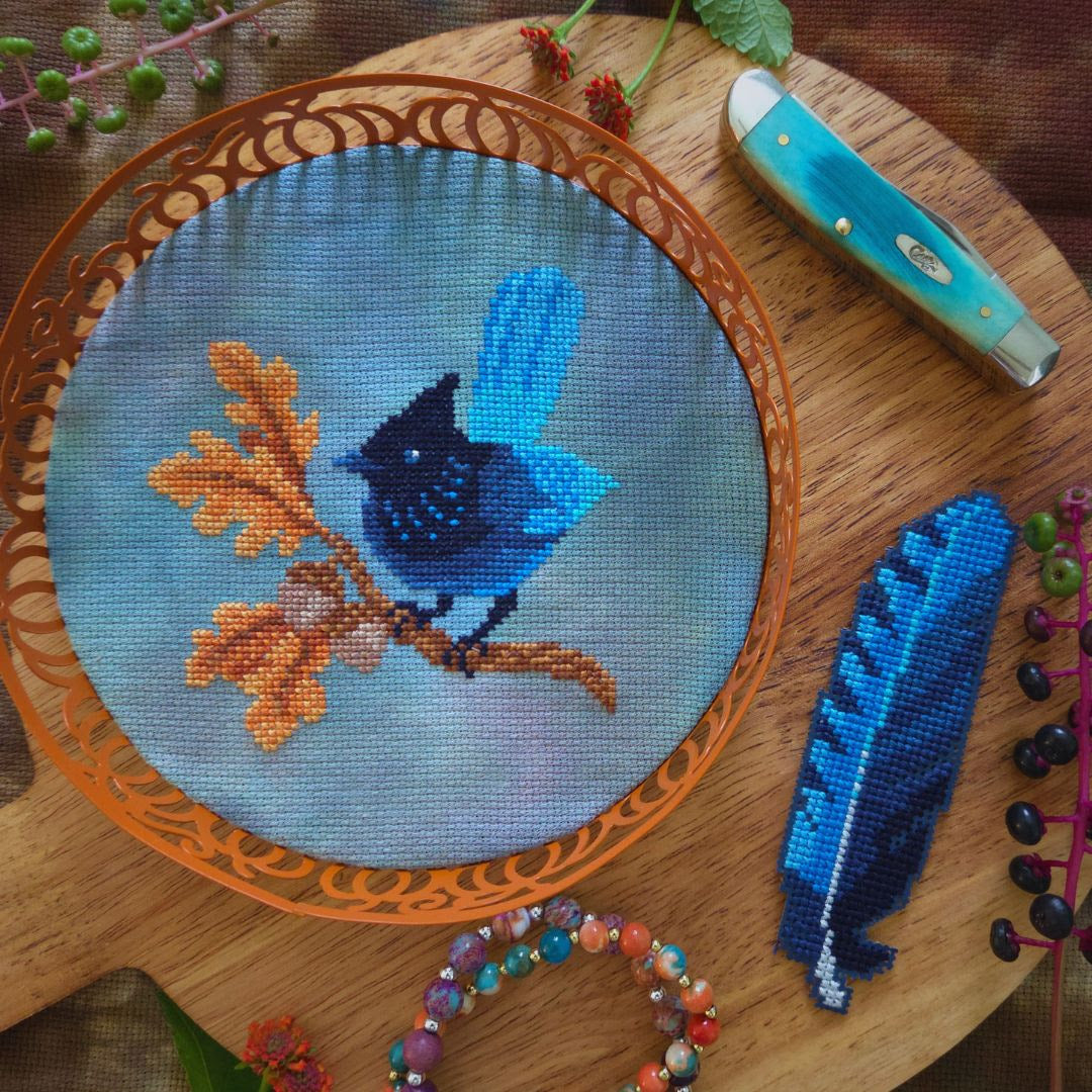 Steller’s Jay and Feather Bookmark