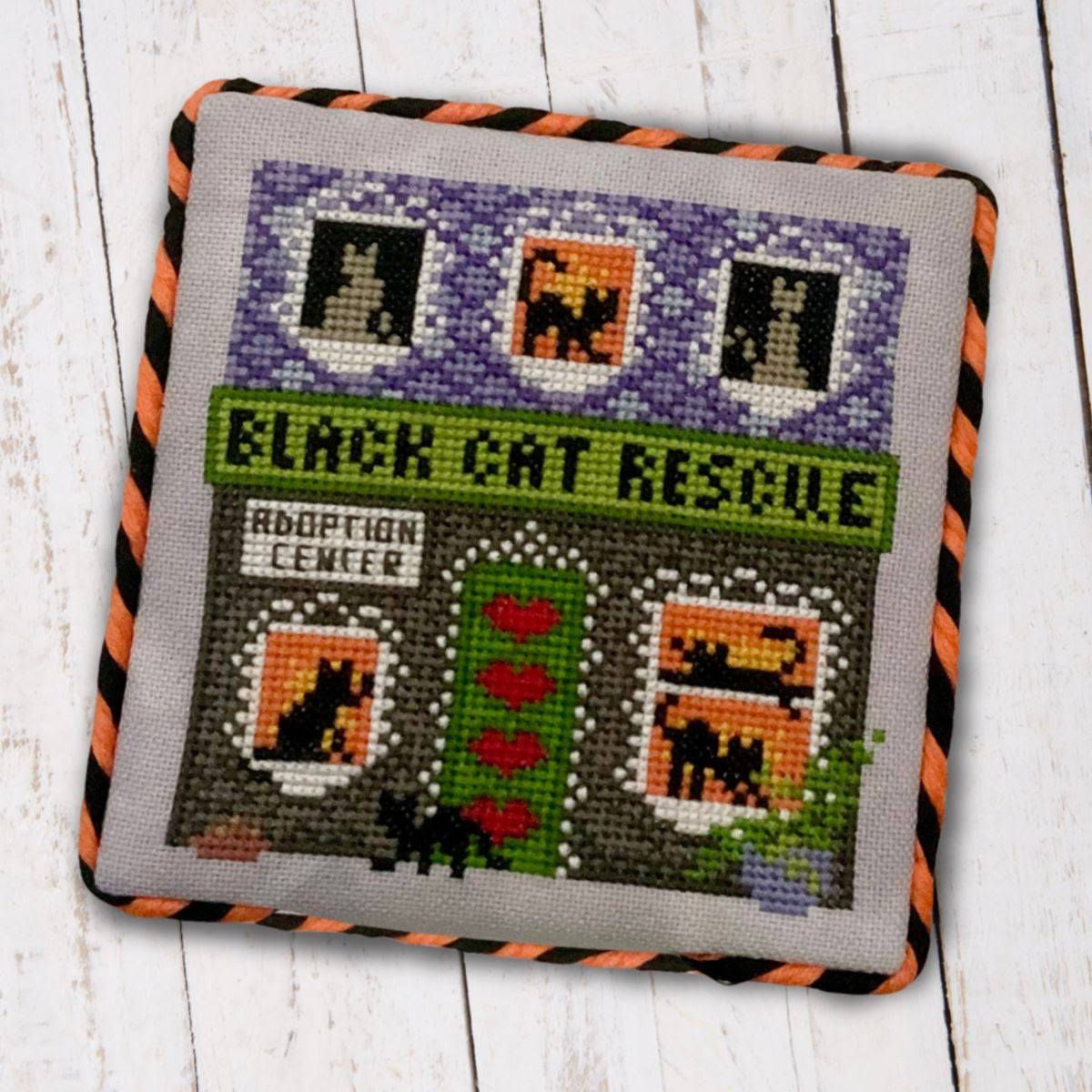 Black Cat Rescue