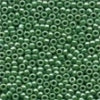 00431 Jade Seed Beads