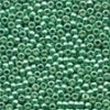 20561 Ice Green Seed Beads - Economy