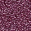 02076 Elderberry  Seed Beads