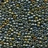 03037 Abalone  Antique Seed Beads