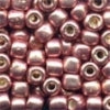 05555 New Penny  Pebble Beads