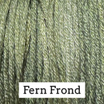 Fern Frond Belle Soie