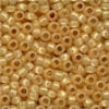 18822 Golden Opal  Size 8 Glass Beads