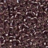 18825 Iced Nutmeg  Size 8 Glass Beads
