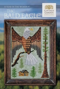 The Bald Eagle - A Year in the Woods #7