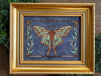 Spanish Moon Moth