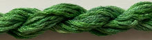 Fern 312