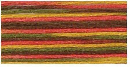 4511 Indian Summer - Coloris Floss