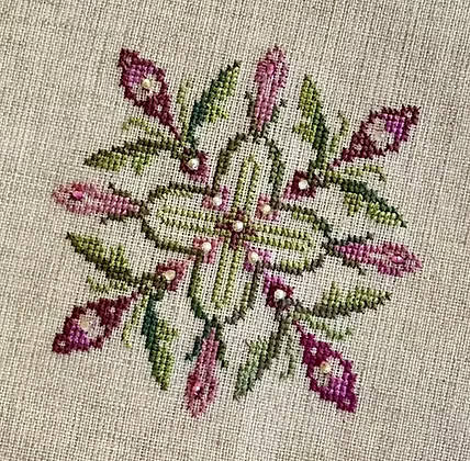 Star Flowers