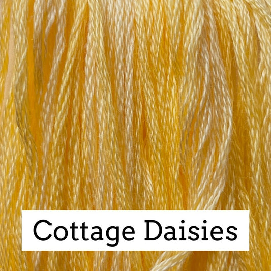 Cottage Daisies 270