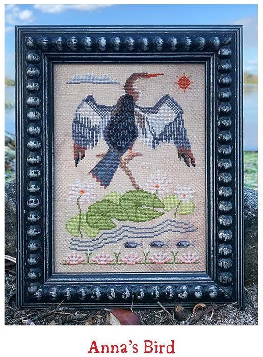 Anna's Bird