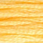 19 Autumn Gold Medium Light- 6 Strand Floss