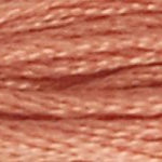 21 Alizarian Light- 6 Strand Floss