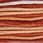 69 Variegated Terra Cotta- 6 Strand Floss