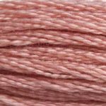 152 Tawny Dark- 6 Strand Floss