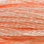 353 Peach- 6 Strand Floss