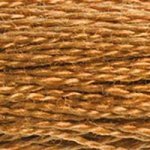 420 Hazelnut Brown Dark- 6 Strand Floss