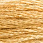 422 Hazelnut Brown Light- 6 Strand Floss
