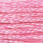 604 Cranberry Light- 6 Strand Floss