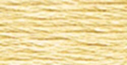 677 Old Gold Very Light- 6 Strand Floss