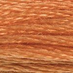 721 Orange Spice Medium- 6 Strand Floss