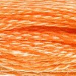 722 Orange Spice Light- 6 Strand Floss