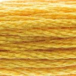 728 Golden Yellow- 6 Strand Floss
