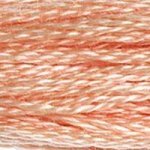 754 Peach Light- 6 Strand Floss