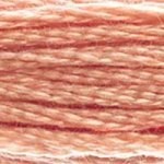 758 Terra Cotta Very Light- 6 Strand Floss