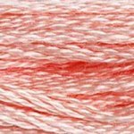 761 Salmon Light- 6 Strand Floss