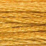 783 Topaz Medium- 6 Strand Floss