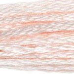 819 Baby Pink Light- 6 Strand Floss